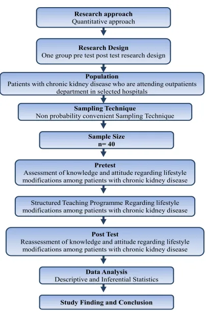 Figure 3.3 The schematic representation of Research Methodology