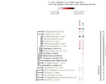 FIG 3: CO-OCCURANCE PATTERN OF RV2004C AND CTPH  PROTEINS 