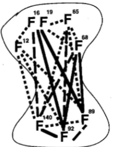 FIGURE 8.-Functional are  lethal lobe residues lethal  the  residues  are they the interaction among  phenylalanine in calmodulin  sequence