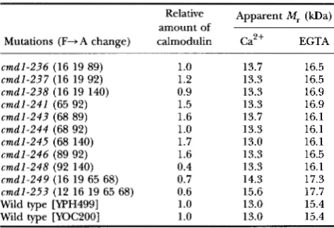 TABLE 3 