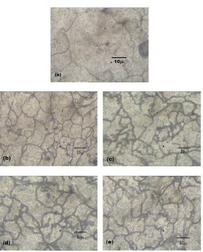 Fig 9 Microstructure obtained for (a) As sintered, (b) As extruded,(c)After 1st pass ECAP, (d) After 2nd pass ECAP route A (e) After 2nd pass  ECAP route C (1000x magnification) 
