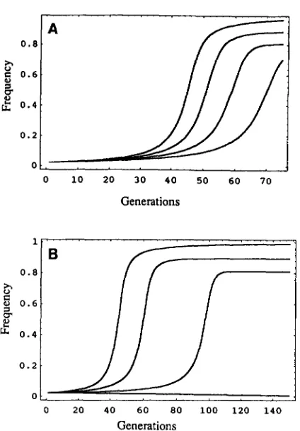 FIGURE 4.-Simultaneous fecundity  effect, correspond to the probability of  loss.  From left to right, the different curves of spread, the location of the stable interior equilibrium, and (s changes in the magnitude of the s, and its partial dominance chan