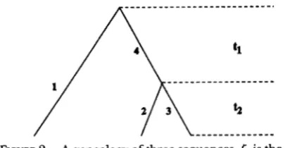 FIGURE 2.-A number the  numbers of genealogy of three  sequences. 6, is the sum of of mutations  in  branch 1 , 2  and 3 while 6, is  the of mutations  in  branch 4