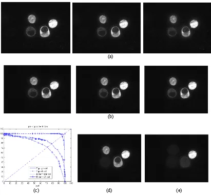 Figure 3 – Experimental Results (a) Noisy images of cancer cells (b) the results of applying the POHMT and reconstructing the cells (c) Plot of Pin and Pout for all four objects of interest in all three images (d) Reconstruction of three detected cells (e)