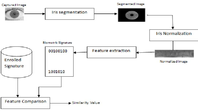 Fig. 1 Block diagram of a proposed iris recognition system 