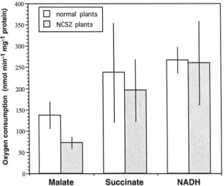 FIGURE I plants. The differences in  malate induced oxygen consump- isolated mitochondria from NCSZ and closely related normal tion  between mitochondria isolated from  normal  and NCS2 plants  were  statistically For samples mitochondria were tistically s