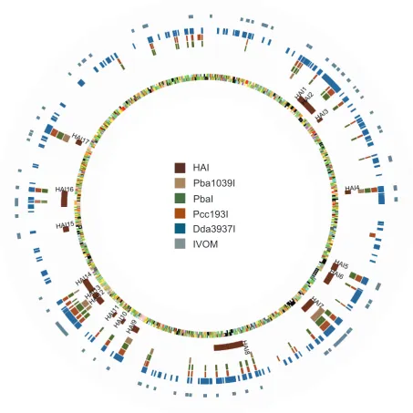 Figure 4. Circular diagram of PbaPbathe locations of annotated horizontally-acquired islands (HAI); aCGH predictions ofmade by alien_hunter (labelled as IVOM)