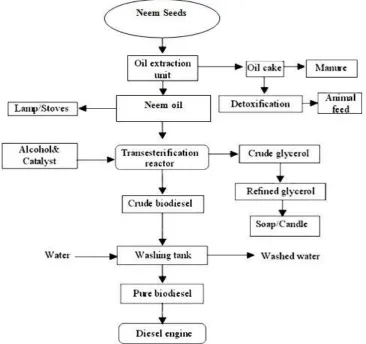 Fig 1. Flow chart for the extraction process of neem oil from neem seeds.  