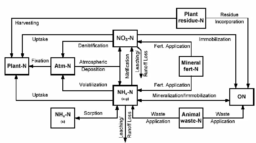 Figure 1.2 Carbon cycle as modeled in DRAINMOD-N II (Youssef, 2003) 