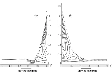 Figure 10: Streamlines computed numerically (marked with full lines) and using the com-