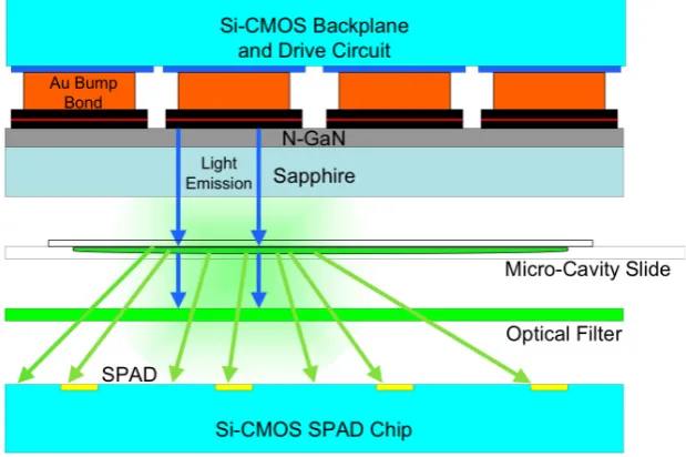 Figure 2. Cross-section of the two-chip micro-system.  