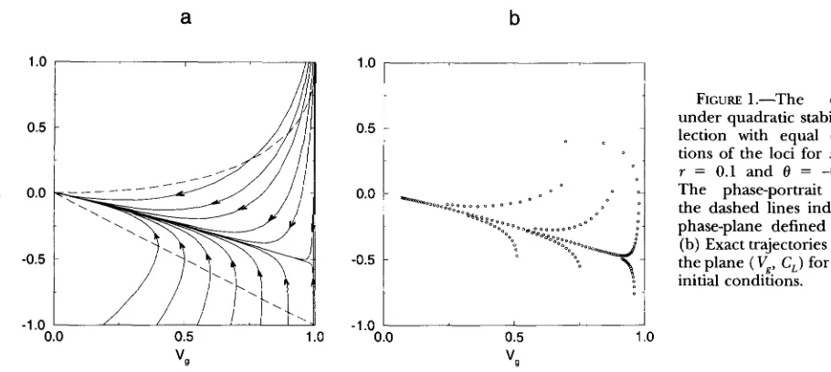 FIGURE 1 .-The  dynamics under  quadratic  stabilizing  se- 