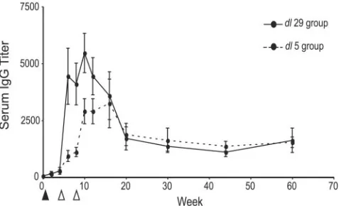 FIG. 1. Genomic maps of replication-defective HSV-2 strains usedin this study. All viruses were derived from the wild-type HSV-2 186
