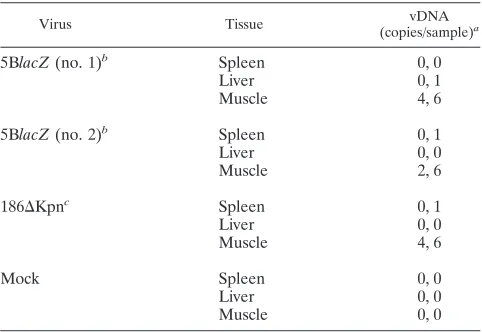TABLE 1. Real-time PCR quantiﬁcation of HSV DNA at5 months postinfection