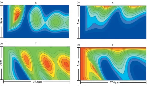 Figure 8(a) The reﬂection and (b) the transmission X-ray intensity distributionFigure 9(a) The reﬂection and (