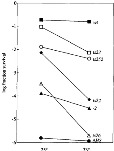 FIGURE 2.-Repair haploid  strains. haploid  strains  incubated  in  0.5% tifylng the  lines  represent  the tored  at  25"  and  33"