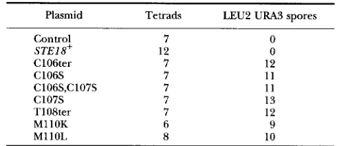 TABLE 6 