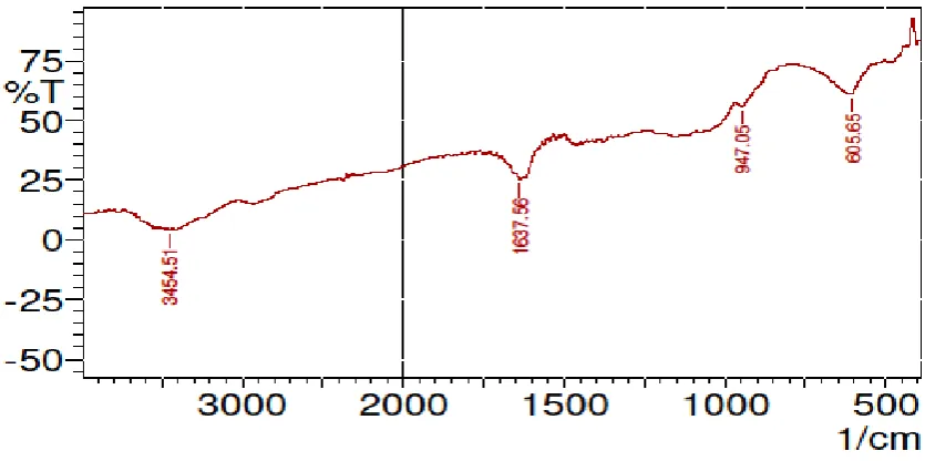 Table 12:  IR Spectra of HPMC E15 