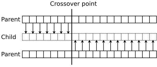 Figure 5.4: Two-point crossover illustration