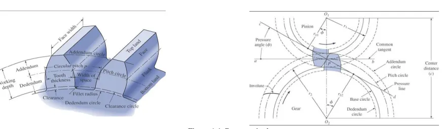 Figure 1.1 Gear terminology is the height by which a tooth projectsbeyond the pitch circle or pitch line