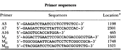 TABLE 1 B. subtilis strains 