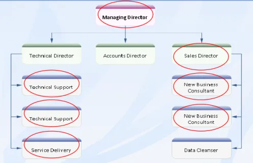 Figure 1: Organisational Chart of Vaioni Group Ltd 