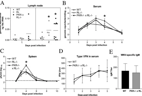 FIG. 2. PKR�of wild-type (WT), RLfrom inguinal lymph nodes ipsilateral to the site of infection by quantitative RT-PCR