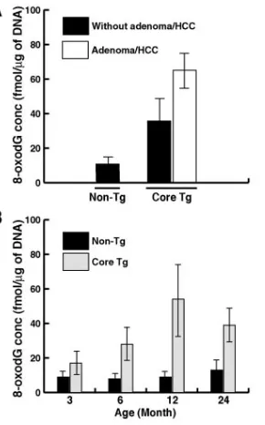 FIG. 5. (A) HCV infection induces lipid peroxidation. Total cellu-lar lipid peroxidation products 4-hydroxyalkenals and malondialde-
