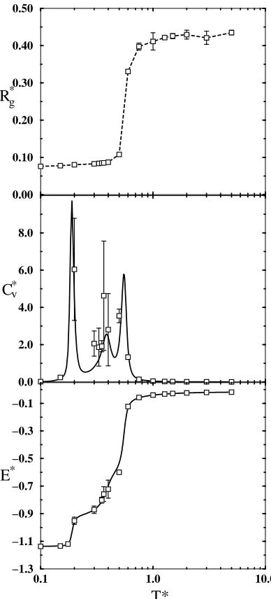 Figure 2.8: Reduced squared radius of gyration (R∗g ), reduced speciﬁc heat (C∗v ), andreduced energy (E∗) as a function of reduced temperature (T ∗) for the heteroprotein.