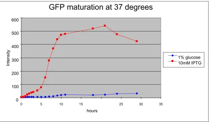 Figure 3.1: Expression of GFP gene in bacterial cells at 37 oC. The same source 