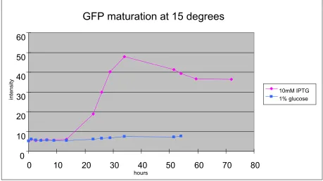 Figure 3.2: Expression of GFP gene in bacteria cells at 15 oC. Same source of 