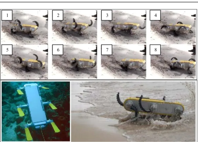 Fig. 6.  AQUA:  With flippers for swimming (left) and 2-spoke legs for walking (right)  