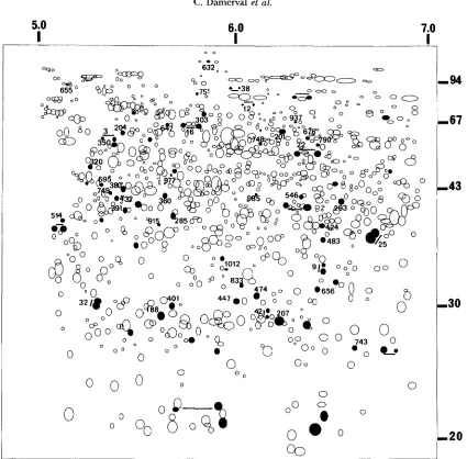 FIGURE 2.-Schematic shift variants in the F?  progeny.. The PQLs 2-D protein  pattern of the 966 spots scored in l o  and LC lines