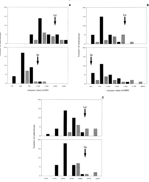 FIGURE 3.-Histogram  of centered on  the parental volume, and a dose effect appears in the heterozygotes