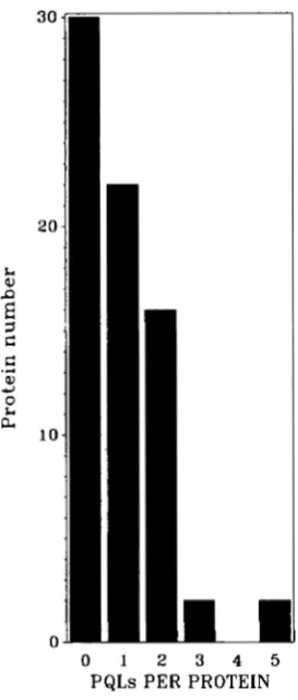 FIGURE 4.-Histogram of the  number of PQLs detected  per protein. 