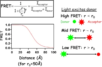 Figure 1.4. FRET versus distance between the two dye molecules. Top: The relation of FRET efficiency with the emissions of the dye molecules termed the intensity of emits weakly and acceptor emits strongly giving a high FRET measurement