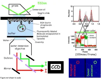 Figure 1.5. Schematic diagram of a prism-type TIR setup and example of how smFRET measurements are analyzed to yield a FRET histogram