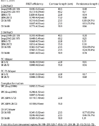 Table 2.1 Persistence lengths of unstructured SNAREs and complexin. The persistence length was calculated using the mean end-to-end distances derived from the experimental FRET measurements within the worm-like-chain model