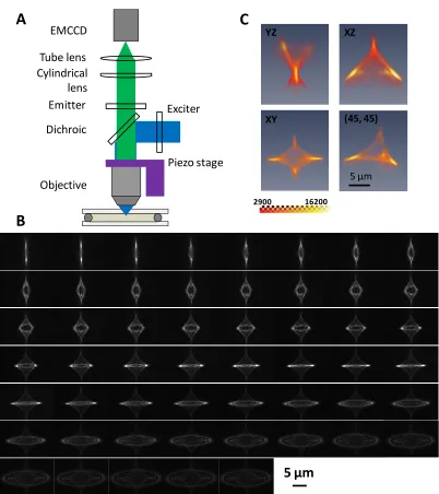 Figure 1.1 Astigmatic imaging for 3D super localization. (A) Schematic of the imaging system