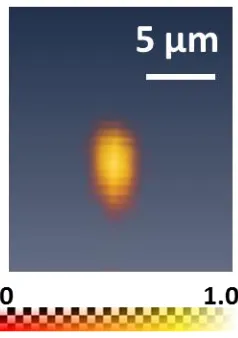 Figure 1.2 3D correlation score map shows a spheroidal shape.  