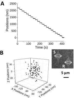Figure 1.3 Super localization accuracy and precision with astigmatic imaging. (A) z-stepping experiment using a piezoelectric stage