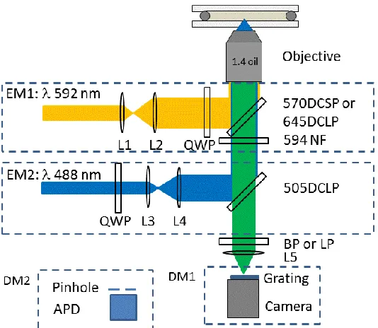 Figure 1.5 Schematic of the confocal microscopy and spectroscopy system. EM: excitation module; DM: detection module; L: lenses; QWP: quarterwave plate; DCSP: dichroic mirror (short pass); DCLP: dichroic mirror (long pass); NF: notch filter; BP: bandpass f