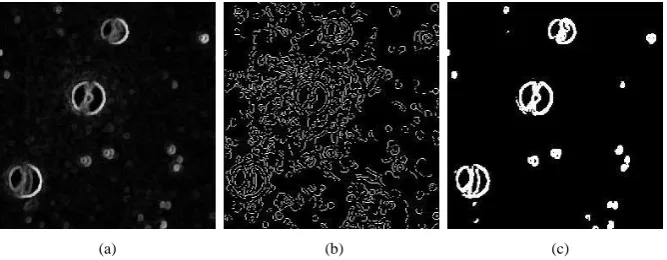 Fig.3 Edge Detection (a) Edge detection using morphology (b) Edge detection using canny algorithm (c) Edge Map