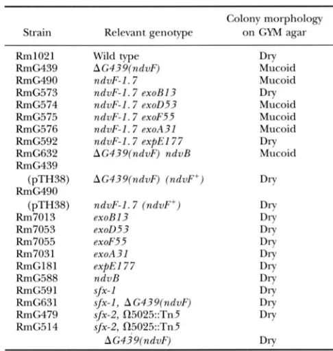 FIGURE 4,"Colony morphology of meliloti wild-type strain 1021 and 