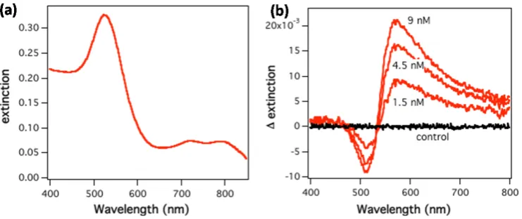 Figure 3. (a) UV-visible spectrum of Au-NIR-R conjugate in phosphate buffer solution. (b) Binding assay performed in PBS for anti-ricin IgG to Au-NIR-R as a function of antibody concentration