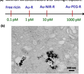 Figure 4. (a) Summary of minimum concentrations of free ricin and different nanoparticle-ricin conjugates that result in detectable cell death using a neutral red assay performed after overnight toxin incubation