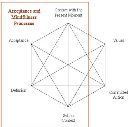 Figure 3. Acceptance and mindfulness processes of the ACT model. 