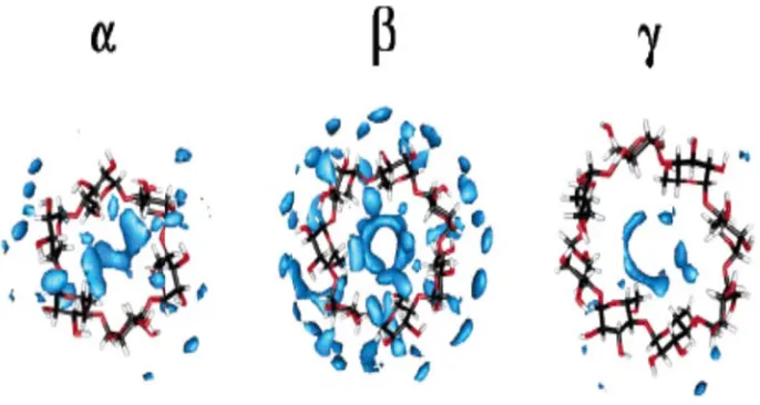 Figure 4. MMolecular DDynamic commputer simuulation depicts local waater molecuules 