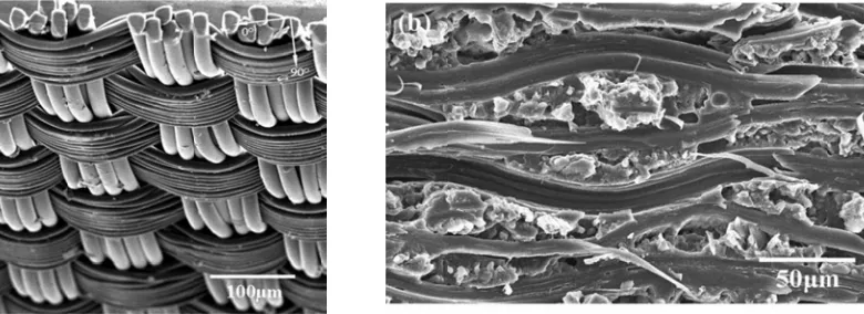 Figure 2. Plain N-66 cloth (left hand side) and cross-ssection morpphology of pplain N-6 clloth 