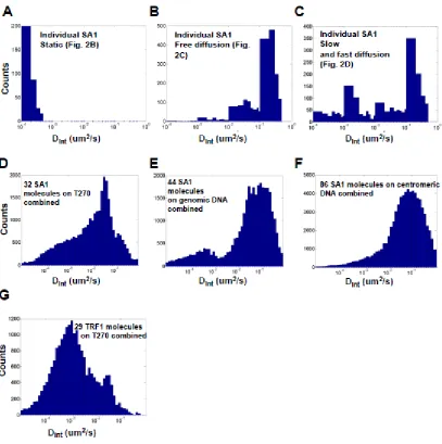 Figure 8: Comparison of the distributions of interval based diffusion constants (Dint) for SA1 